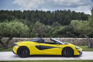 McLaren 570S Spider 2017