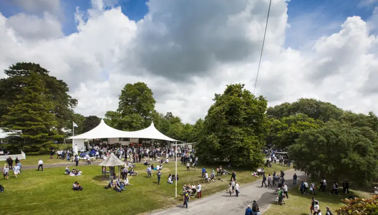 McLaren Goodwood Festival of Speed 2015 - 1