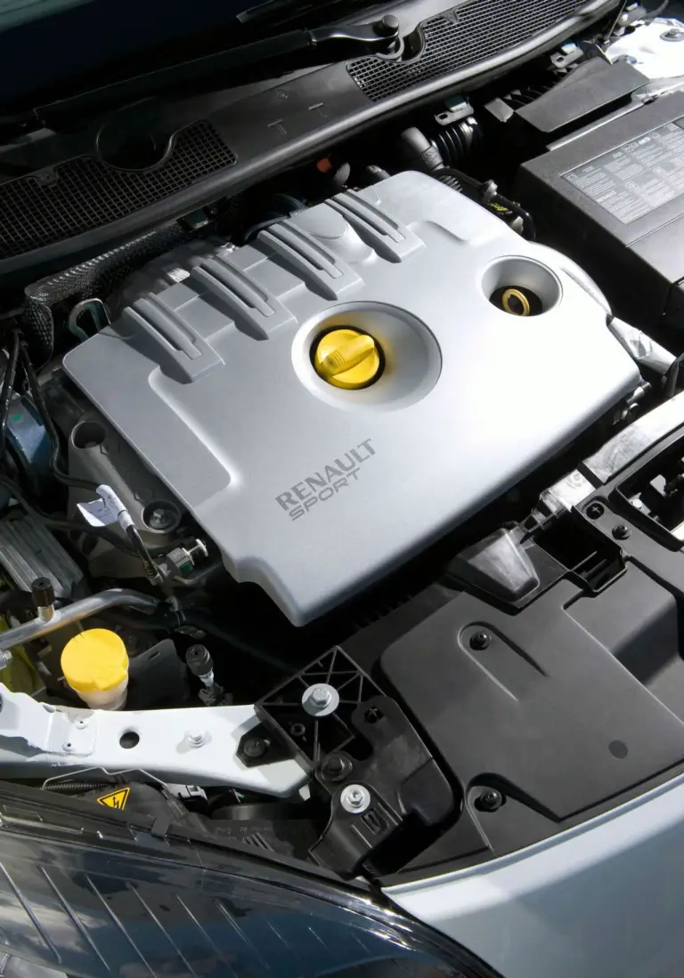 Mégane Renaultsport 250 - 19