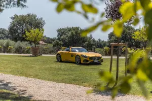 Mercedes-AMG 50 anni - Fornitori e GT Roadster - 10