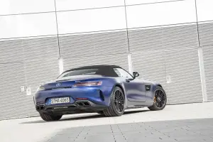 Mercedes-AMG GT - Gamma