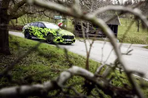 Mercedes-AMG GT Green Flames - 4