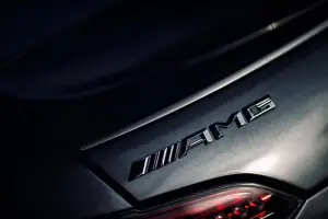 Mercedes-AMG GT - Mega Gallery - 49