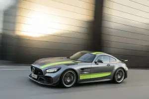 Mercedes-AMG GT R Pro - 17