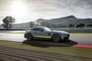 Mercedes-AMG GT R Pro - 24