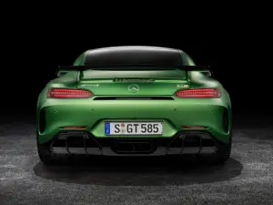 Mercedes-AMG GT R - 23