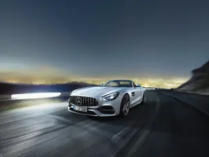 Mercedes-AMG GT Roadster e GT C Roadster