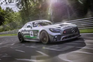 Mercedes-AMG GT4 - nuova galleria fotografica