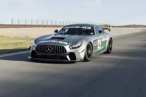 Mercedes AMG GT4 - 2