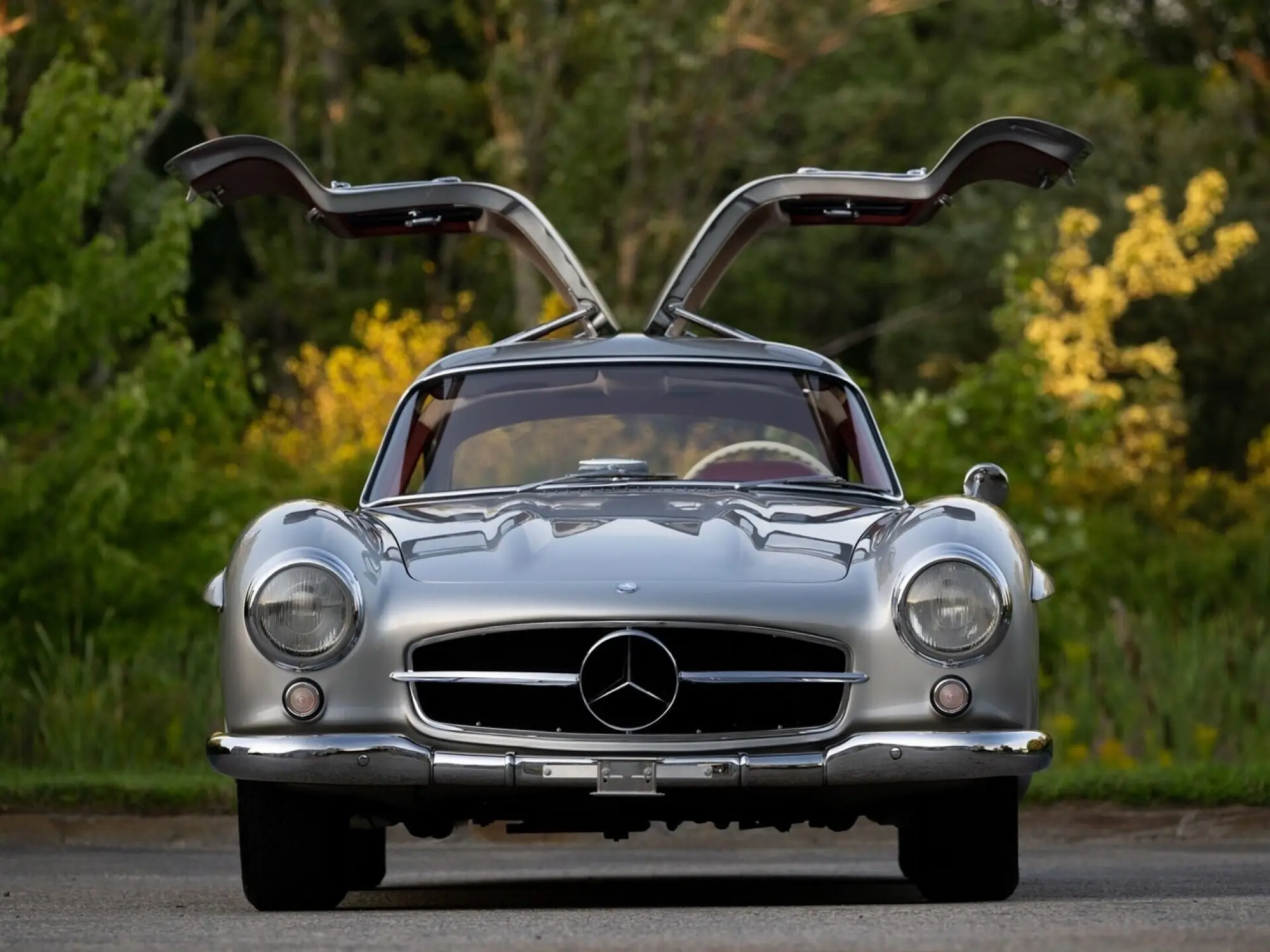Mercedes-Benz 300 SL Gullwing 1955 asta - Foto - 33