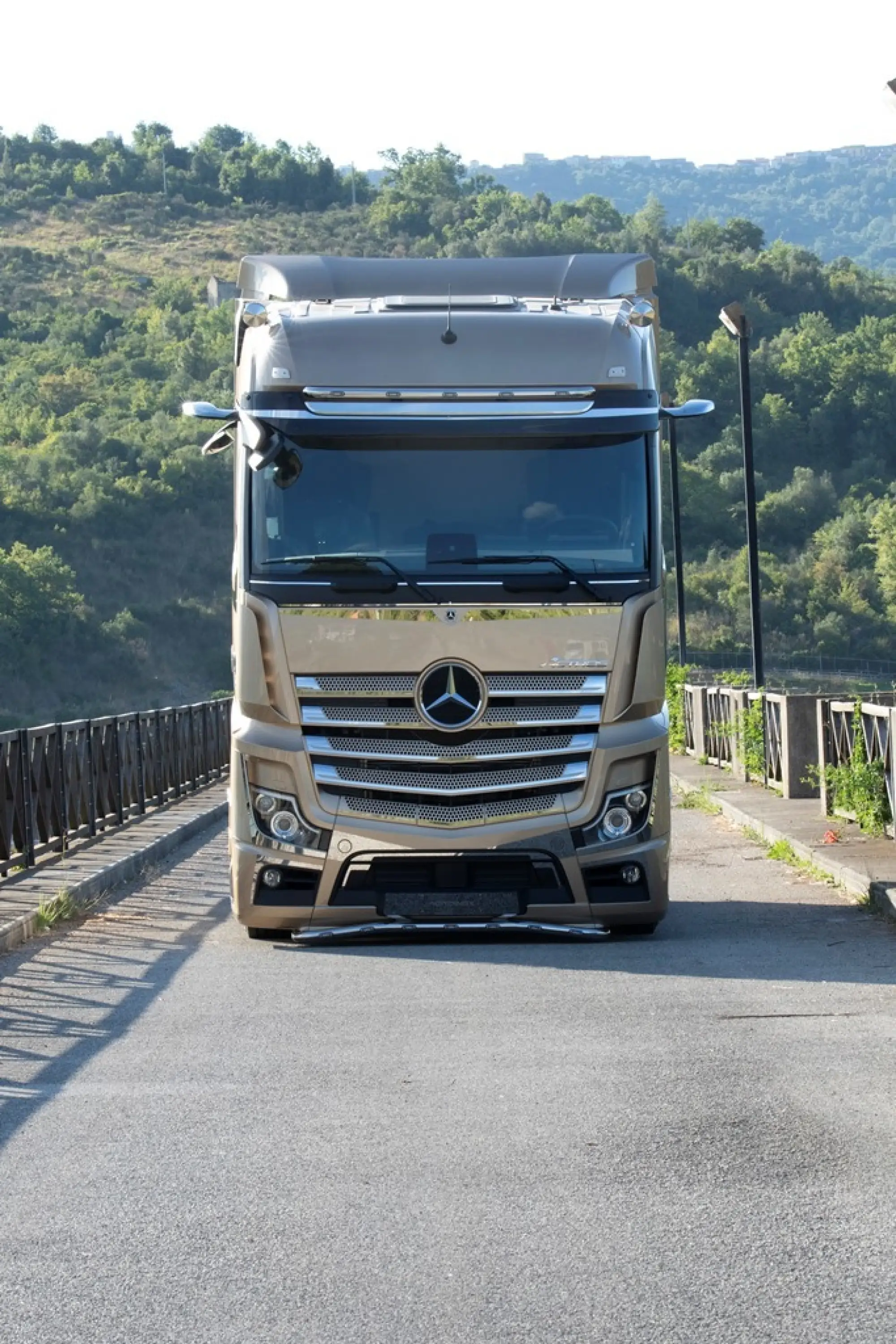 Mercedes-Benz Actros Iconic Edition - 6