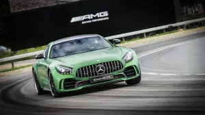 Mercedes-Benz al Motor Show di Bologna - 1