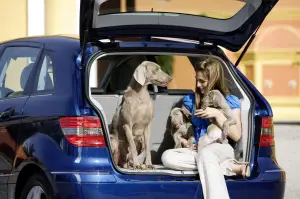 Mercedes Classe A Premium e Mercedes Classe B Premium - 6