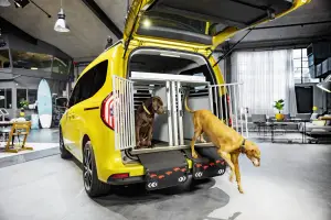 Mercedes Classe T 2022