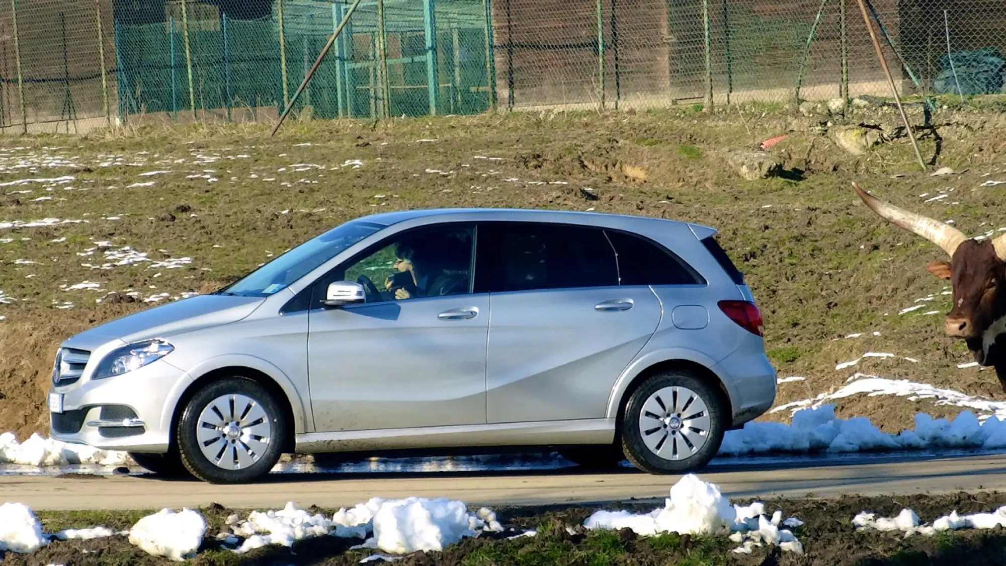 Mercedes Electric Day - Safari Park - 25