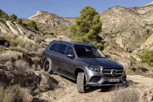 Mercedes GLS 2020 - 5