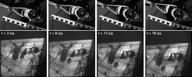 Mercedes - Radiografia di un crash test - 4