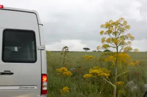Mercedes Sprinter - Basilicata coast to coast - 59