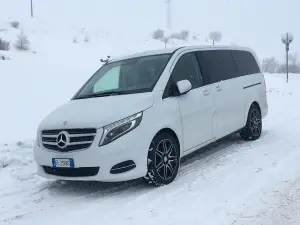 Mercedes VansatTRACTION - 10