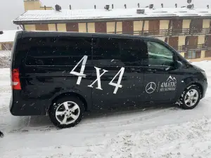 Mercedes VansatTRACTION