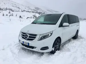 Mercedes VansatTRACTION