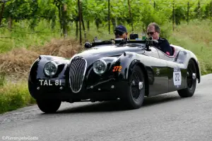 Millemiglia 2017 live