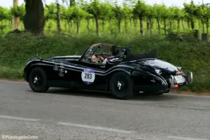 Millemiglia 2017 live