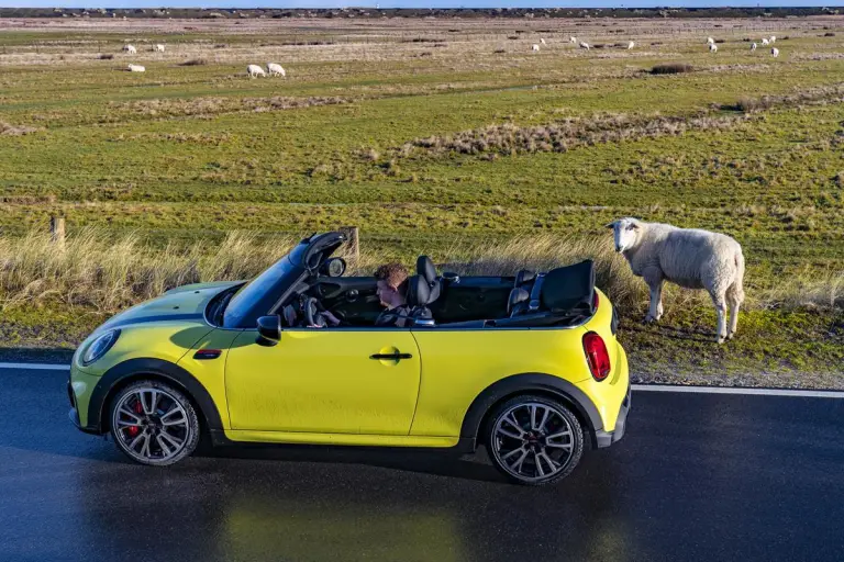 Mini Cabrio 2021 - 45