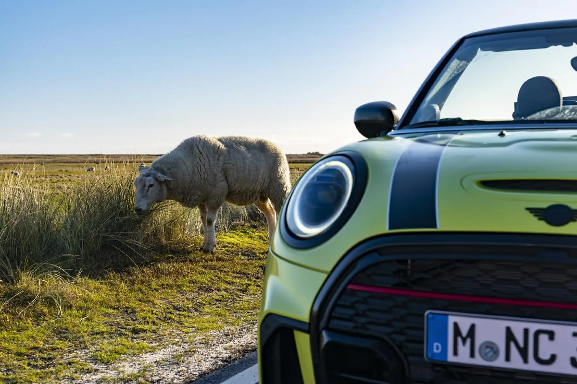 Mini Cabrio 2021 - 42