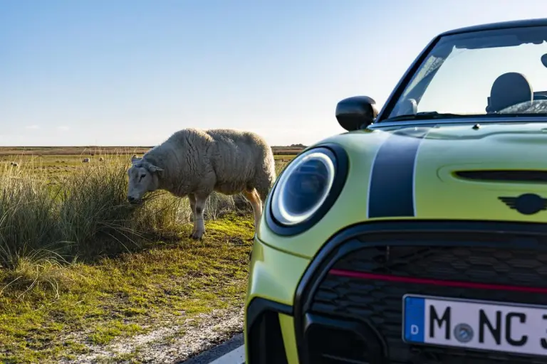 Mini Cabrio 2021 - 42