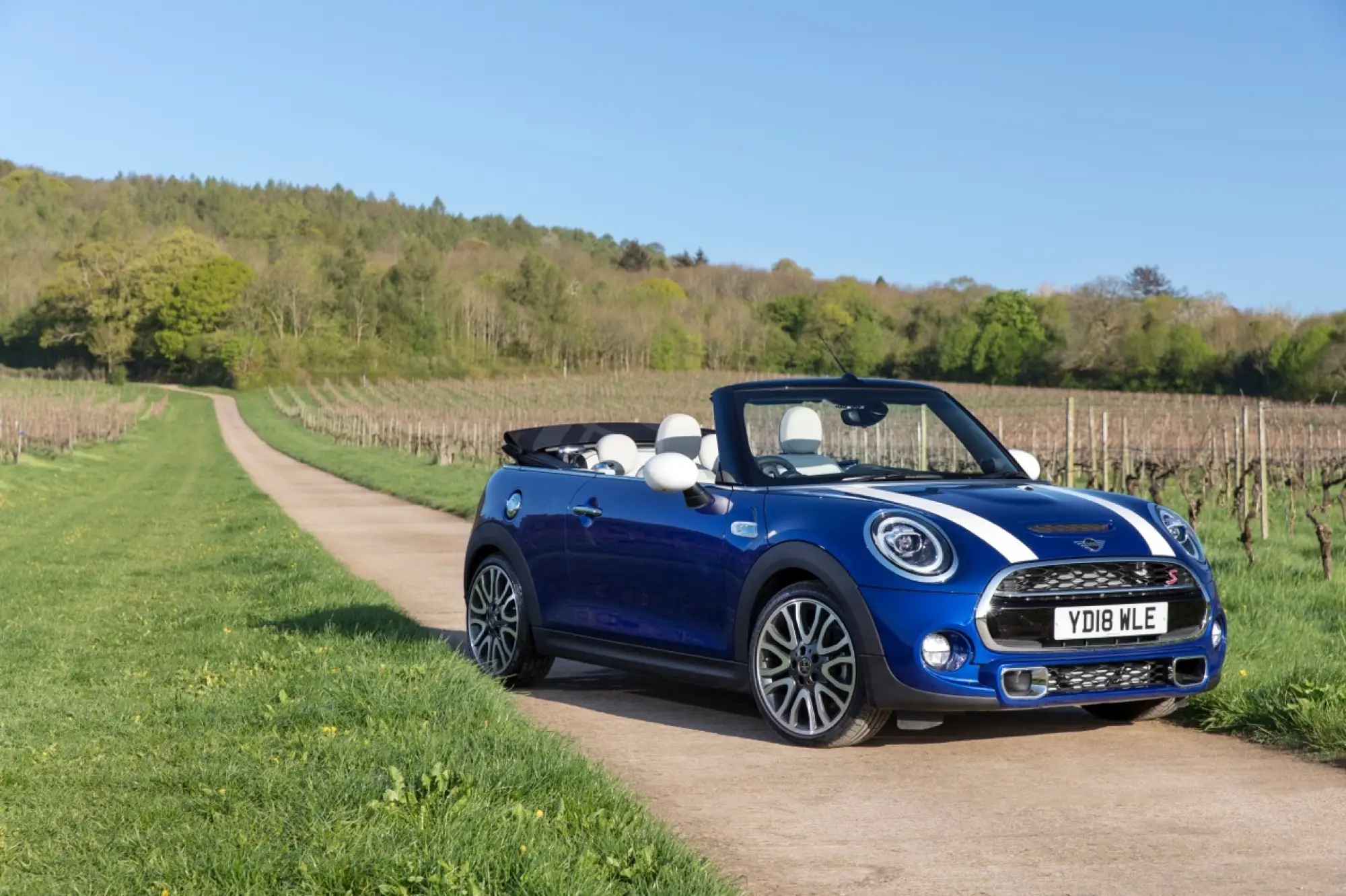 Mini Cabrio 25th Anniversary - 22