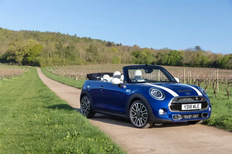 Mini Cabrio 25th Anniversary - 22