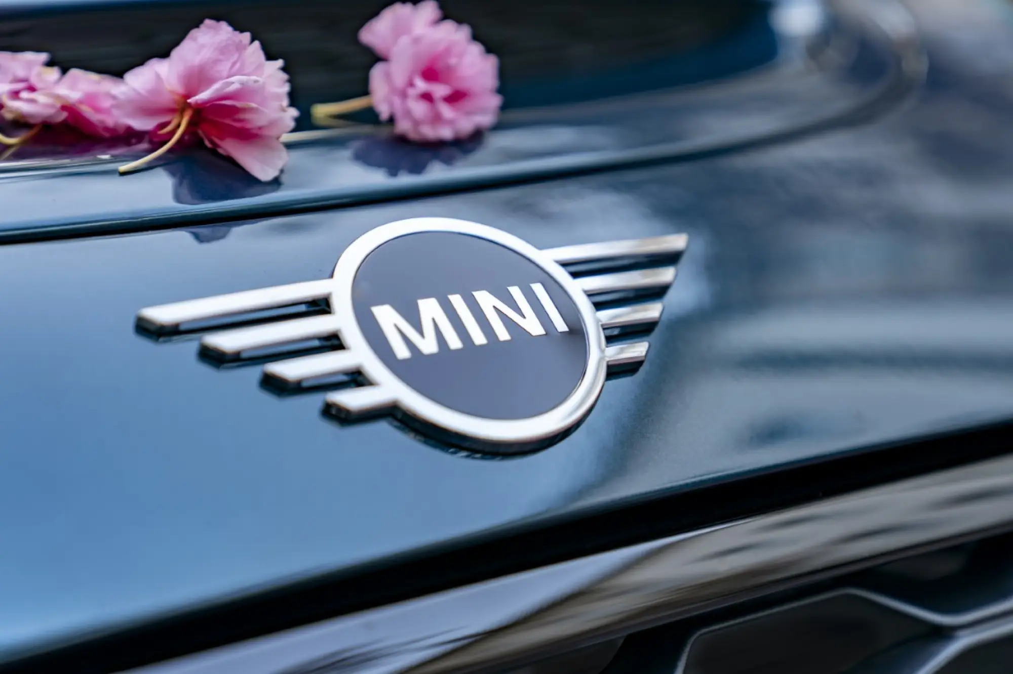 Mini Cabrio Sidewalk - Foto ufficiali - 13