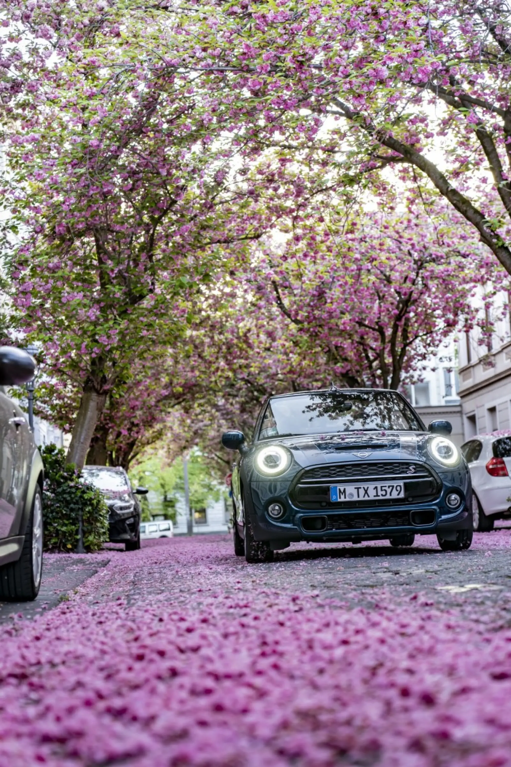 Mini Cabrio Sidewalk - Foto ufficiali - 4