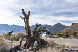 Mini Cooper elettrica - Sulle strade di Las Vegas - 21