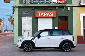 Mini Countryman - 17