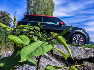 Mini JCW - Prova su strada 2016 - 24