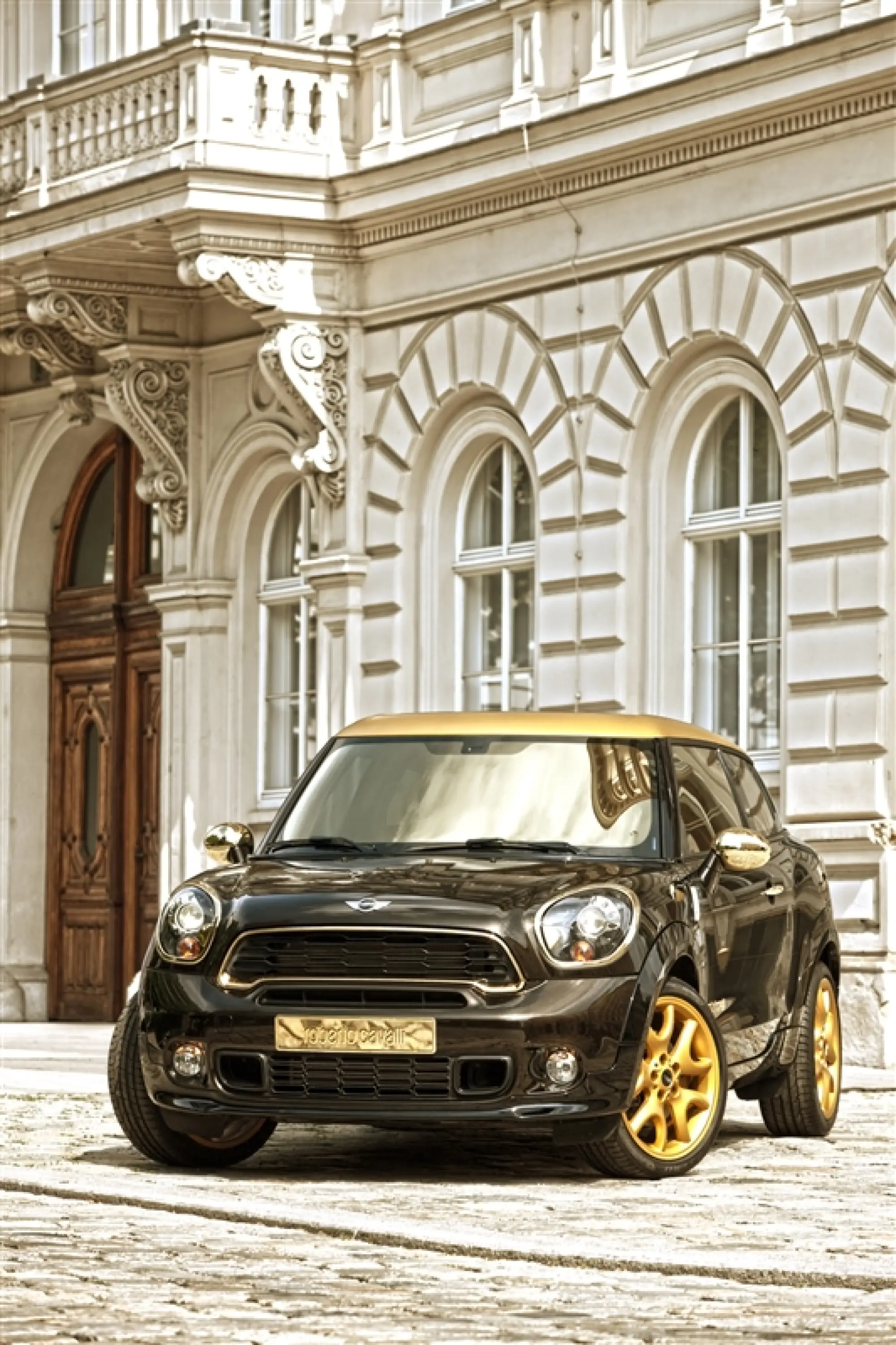 MINI Paceman by Roberto Cavalli - Life Ball 2013 - 5
