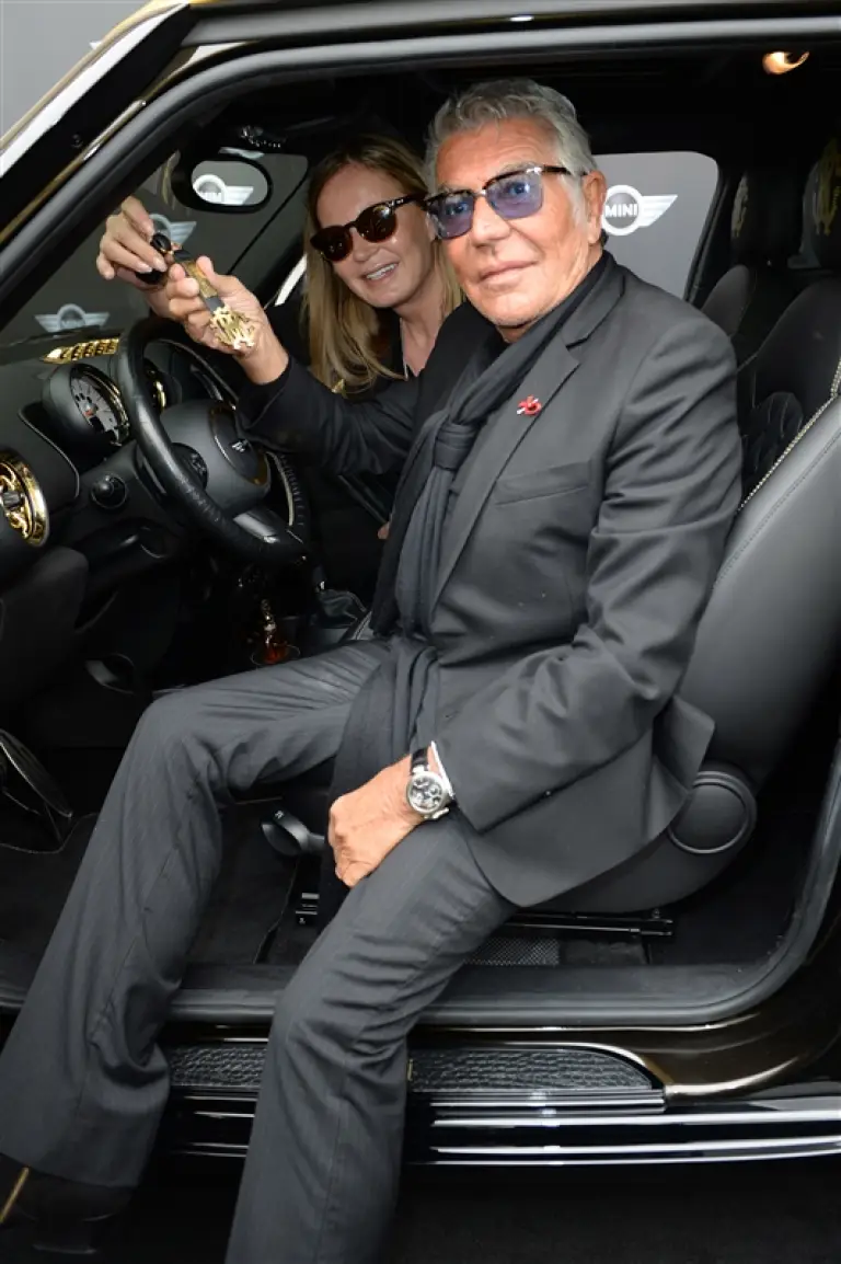 MINI Paceman by Roberto Cavalli - Life Ball 2013 - 11