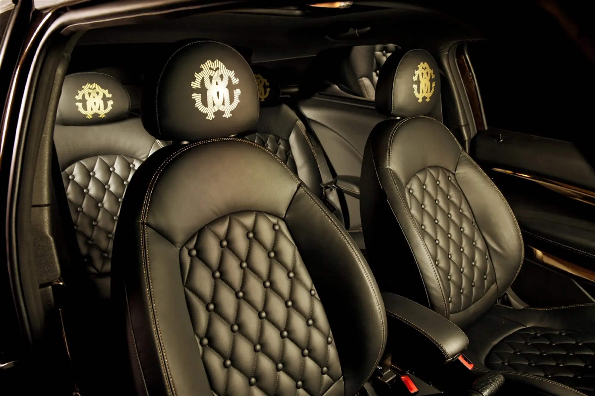 MINI Paceman by Roberto Cavalli - Life Ball 2013 - 19