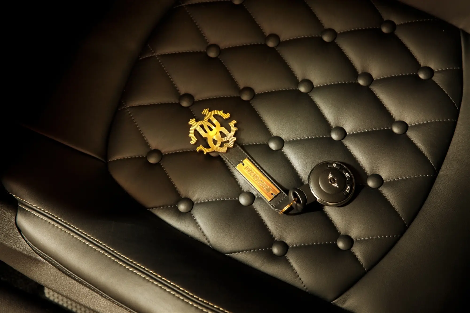 MINI Paceman by Roberto Cavalli - Life Ball 2013 - 21