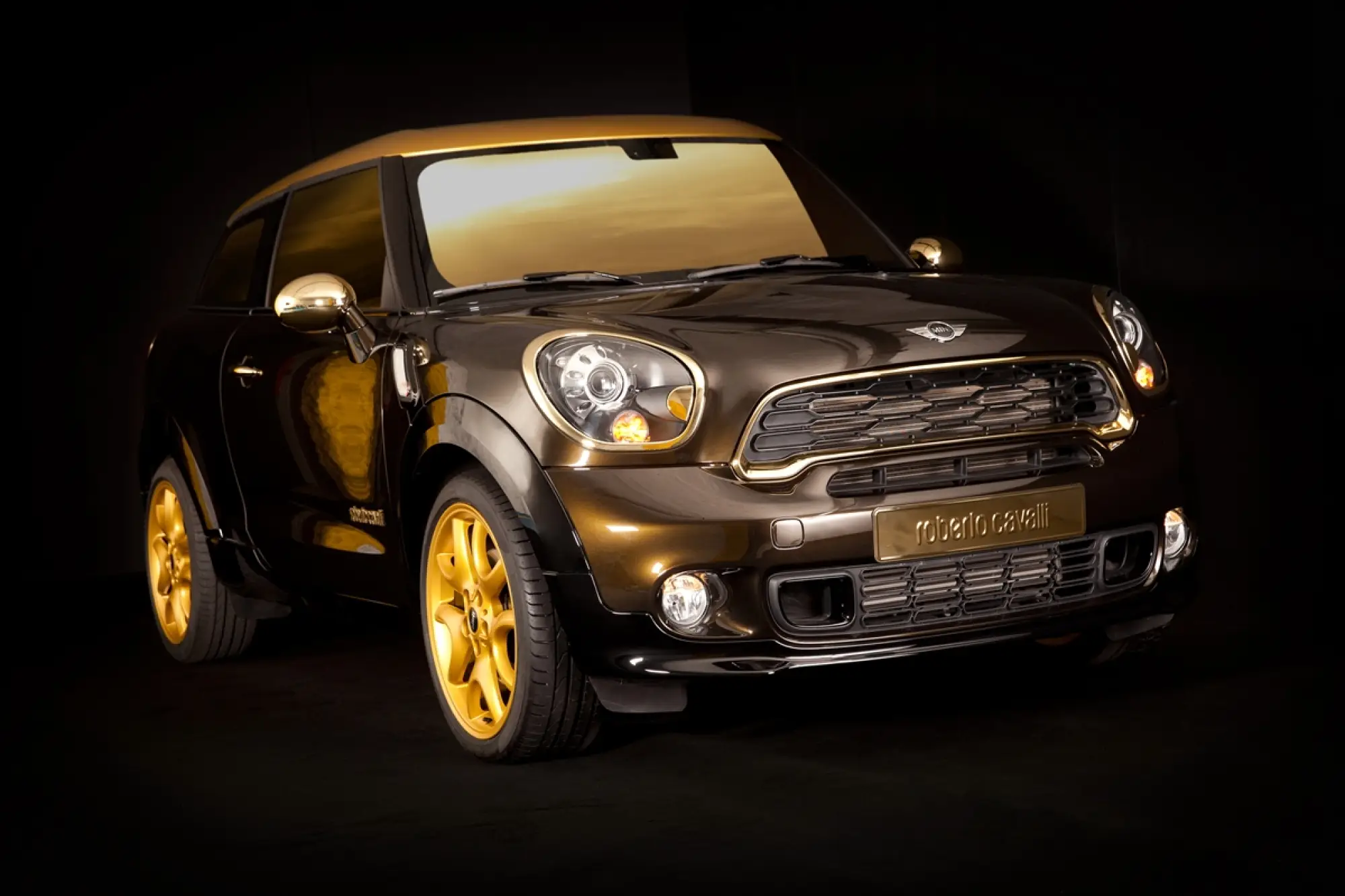 MINI Paceman by Roberto Cavalli - Life Ball 2013 - 22
