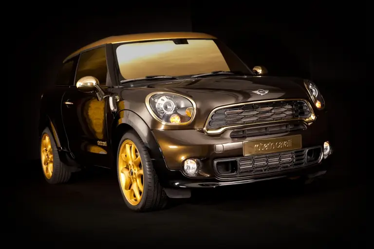 MINI Paceman by Roberto Cavalli - Life Ball 2013 - 22