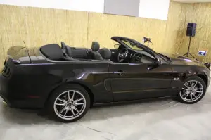 Mustang gamma 2013 - 4