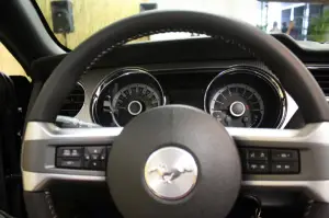 Mustang gamma 2013 - 7