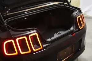 Mustang gamma 2013