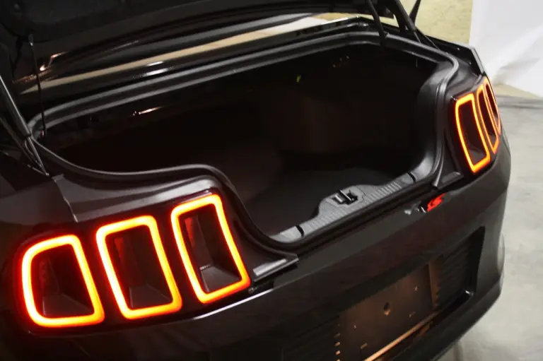 Mustang gamma 2013 - 9
