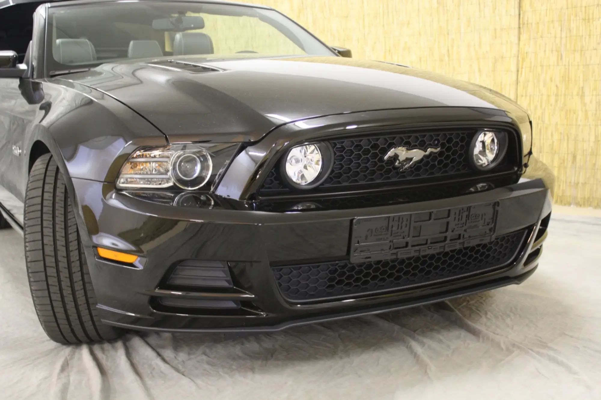 Mustang gamma 2013 - 10