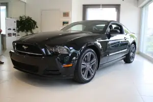 Mustang gamma 2013 - 11
