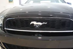 Mustang gamma 2013 - 14